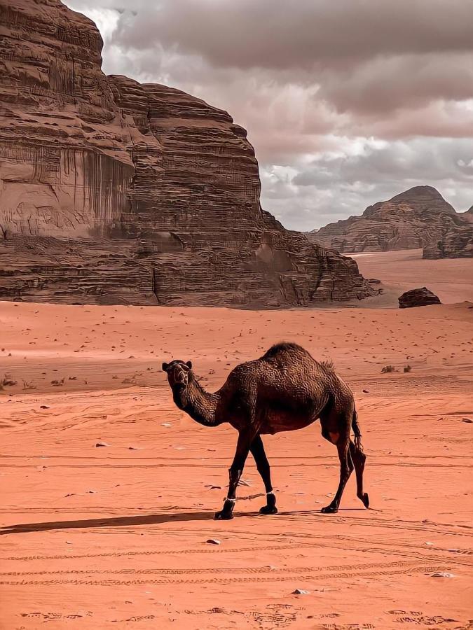 Rum Paradise Luxuri Camp Wadi Rum Buitenkant foto